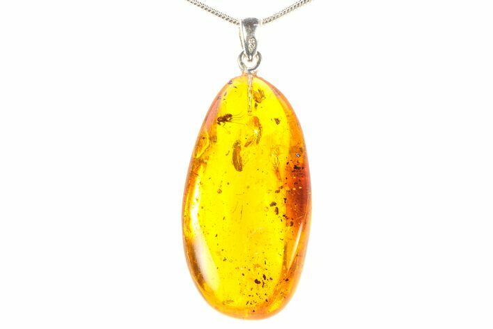 Polished Baltic Amber Pendant (Necklace) - Contains Fly! #297687